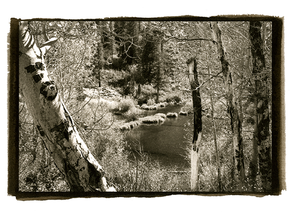 AtlPhotoClassPrint003 - Aspens and Lake, Eastern Sierras ©2014 Dan Nougier